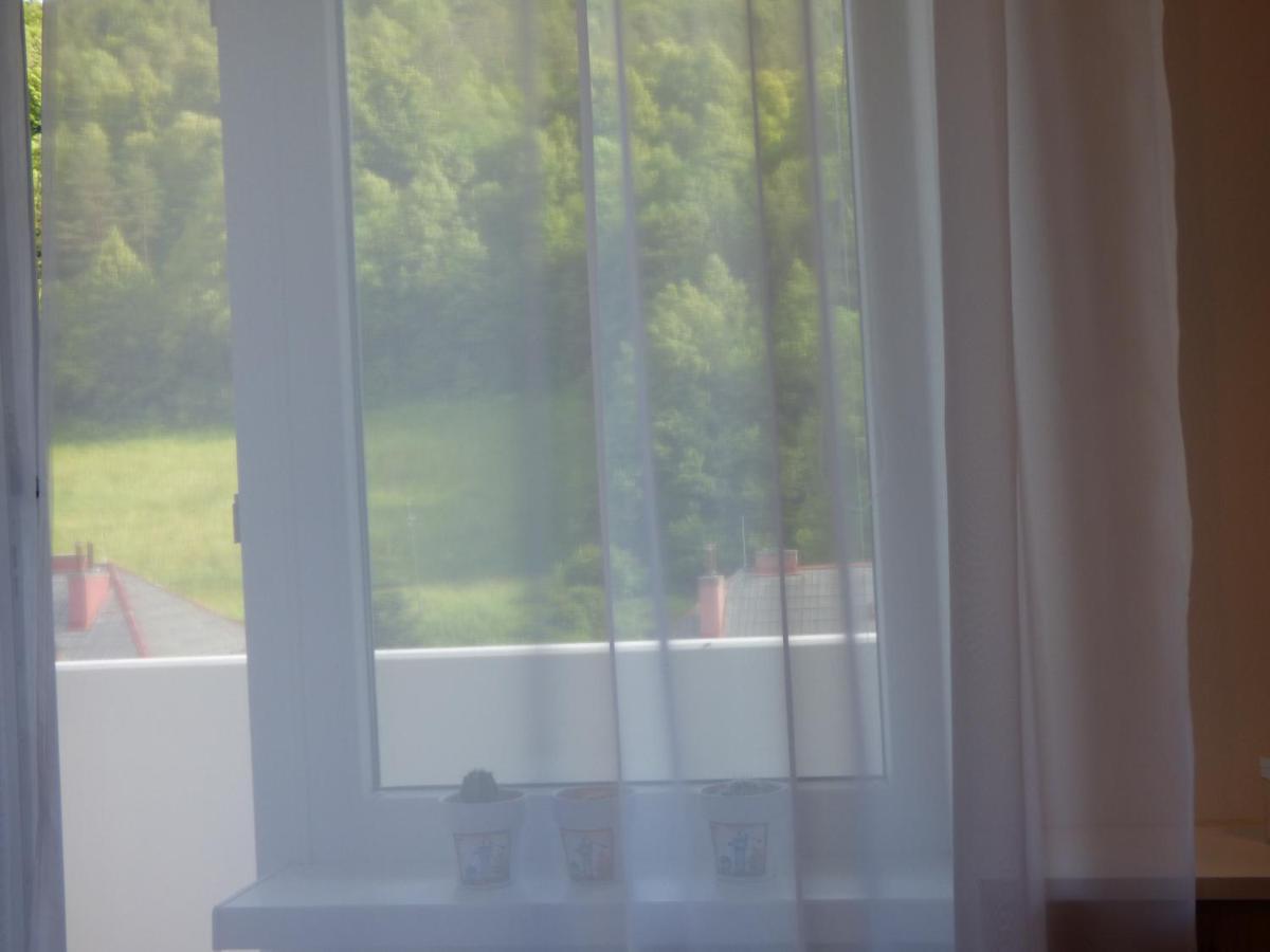 Apartman Dolinky ヴィフネ エクステリア 写真